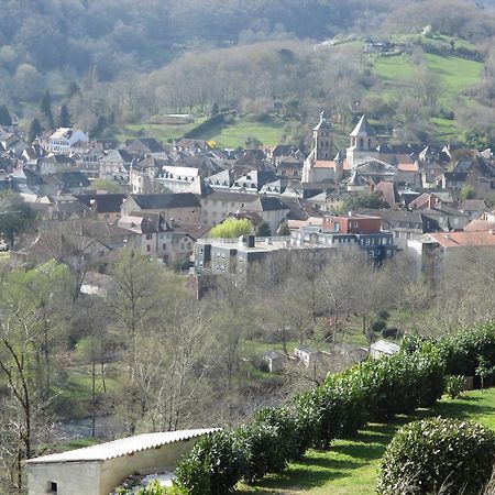 Le Petit Chat Beaulieu-sur-Dordogne Exterior photo