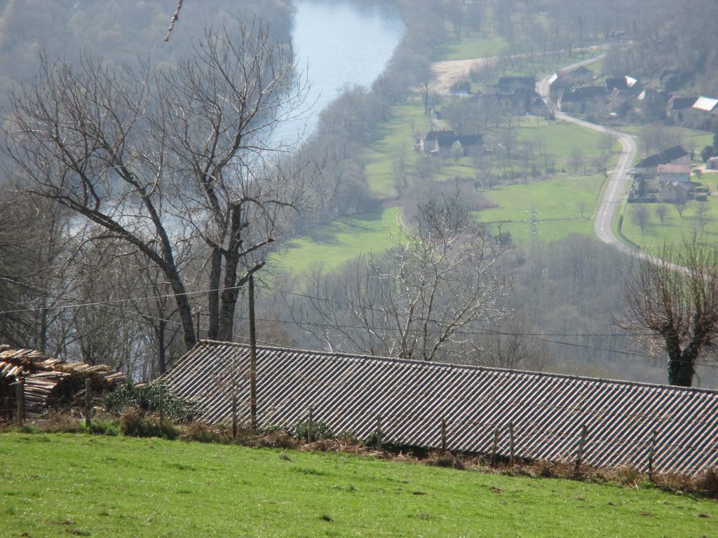 Le Petit Chat Beaulieu-sur-Dordogne Exterior photo